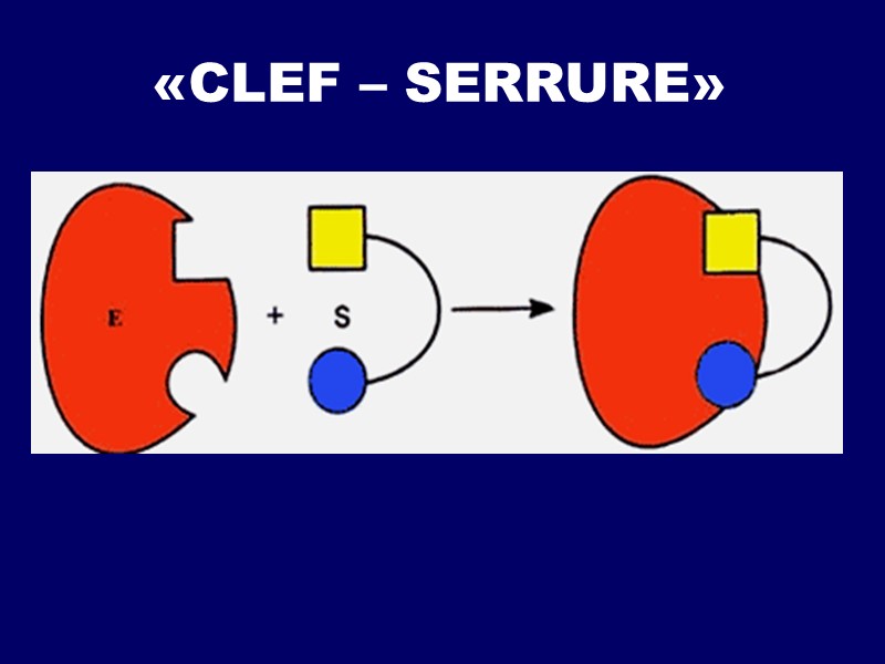 «CLEF – SERRURE»